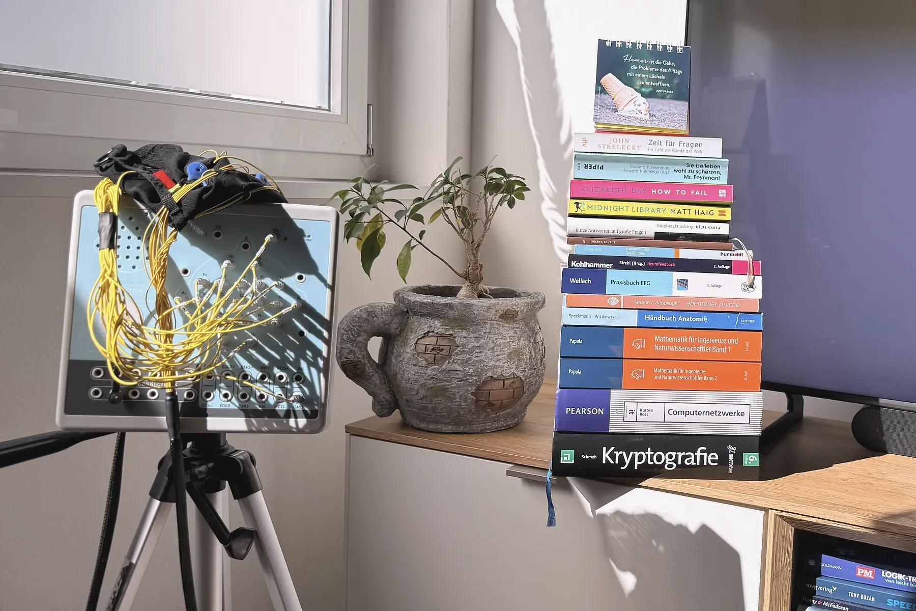 EEG-Verstärker mit gelben Elektrodenkabeln auf einem Stativ, daneben eine Pflanze und ein Stapel Fachbücher in der Praxis